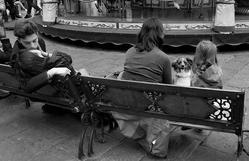 Zwart-witfoto van een koppel dat elkaar kust op een bankje met twee honden in een stedelijke omgeving