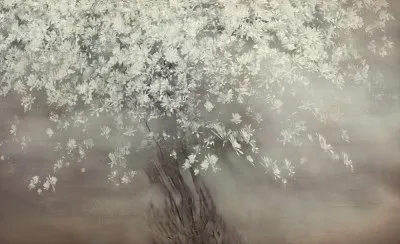 Horizontale foto van een bloeiende magnoliaboom met witte starflowers in zachte lentetinten