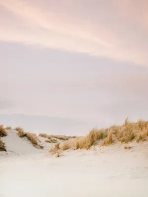 Verticaal portret van rustige zandduinen op Ameland met gras en bewolkte hemel