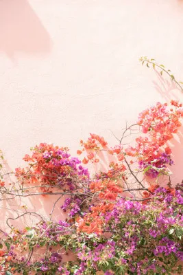 Verticale fotografie van roze en lila bloemen in natuurlijk licht met architectuur op de achtergrond