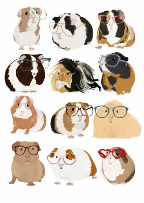 Guinea Pig in Glasses