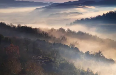 Mistig herfstlandschap met bomen en nevel in Epirus National Park, Griekenland, bij zonsopgang