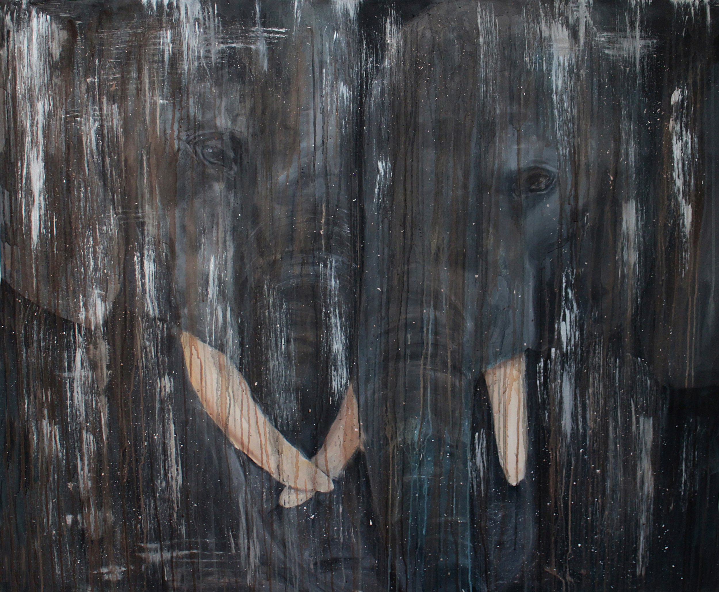 Elephant shadows van jenny nielsen