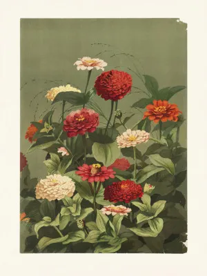 Verticale illustratie van kleurrijke zinnia’s in een zachte buitenomgeving met zonnig licht