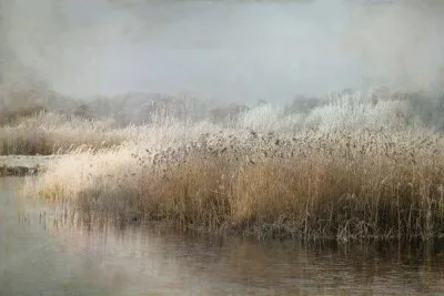 Horizontale fotografie van een bevroren meer met rijp en riet in winterse ochtendsfeer