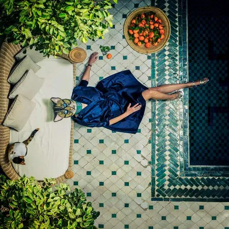 Bovenaanzicht van mensen en katten bij zwembad met oranje fruit en gezichtsmaskers in buitenruimte