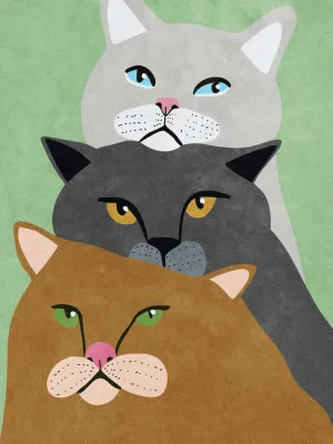 Cat Trio