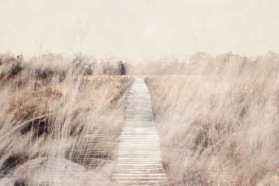 Horizontaal dromerig winterlandschap met sneeuw en bomen in De Groote Peel, Nederland