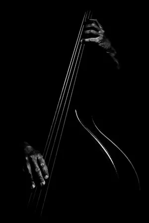 Zwart-wit fotografie van een contrabassist die zijn instrument bespeelt in een minimalistische, low-key setting