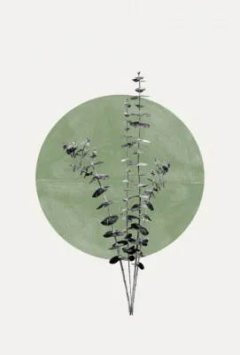 Verticale botanische illustratie met groene eucalyptus en zwarte cirkels in minimalistische stijl