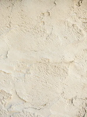 Beige Texture