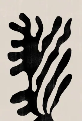 Silhouette flow van the miuus studio