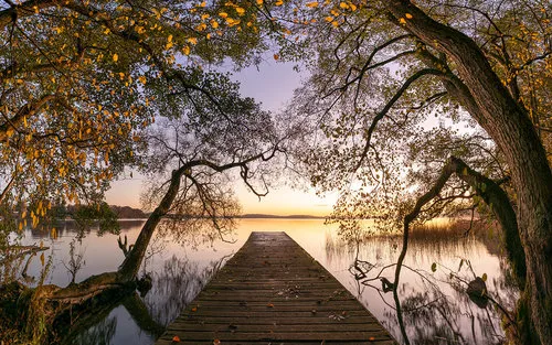 Horizontale foto van een houten pier die uitstrekt over een rustig meer in de vroege herfst, omringd door bomen