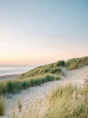Verticale foto van rustige Nederlandse zandduinen met helmgras en een heldere blauwe hemel in de avondschemering