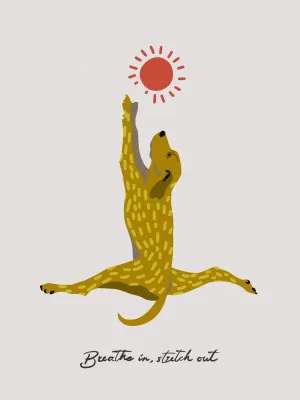 Yoga Dogs - Breathe in, stretch out