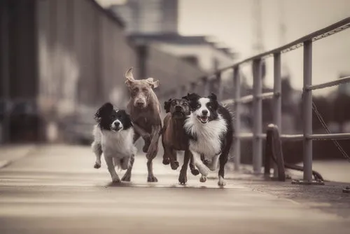 The Fantastic Four....