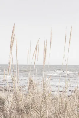 Verticaal strandlandschap met riet, zand en kalme zee onder een zachte beige hemel