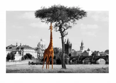 Horizontale zwart-witfoto van een giraf tussen bomen en gebouwen in een creatief stadslandschap