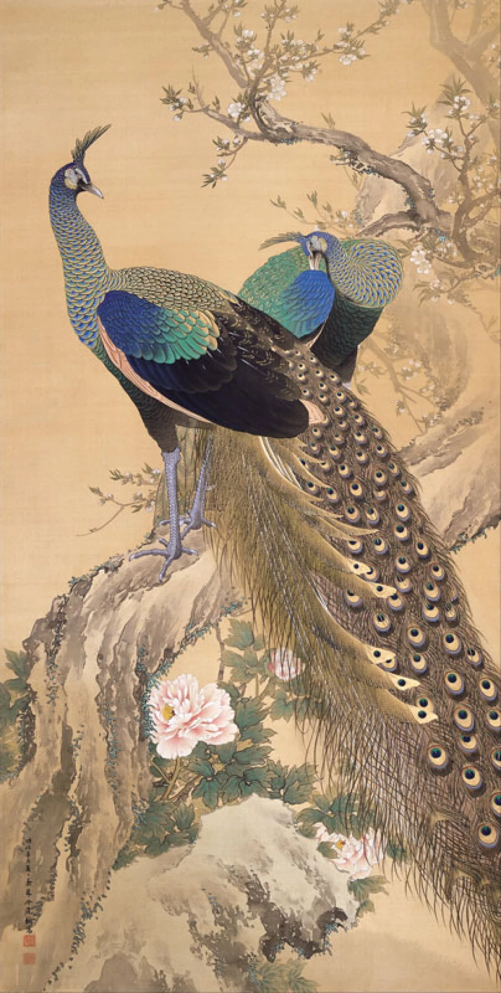 A Pair of Peacocks in Spring door Imao Keinen