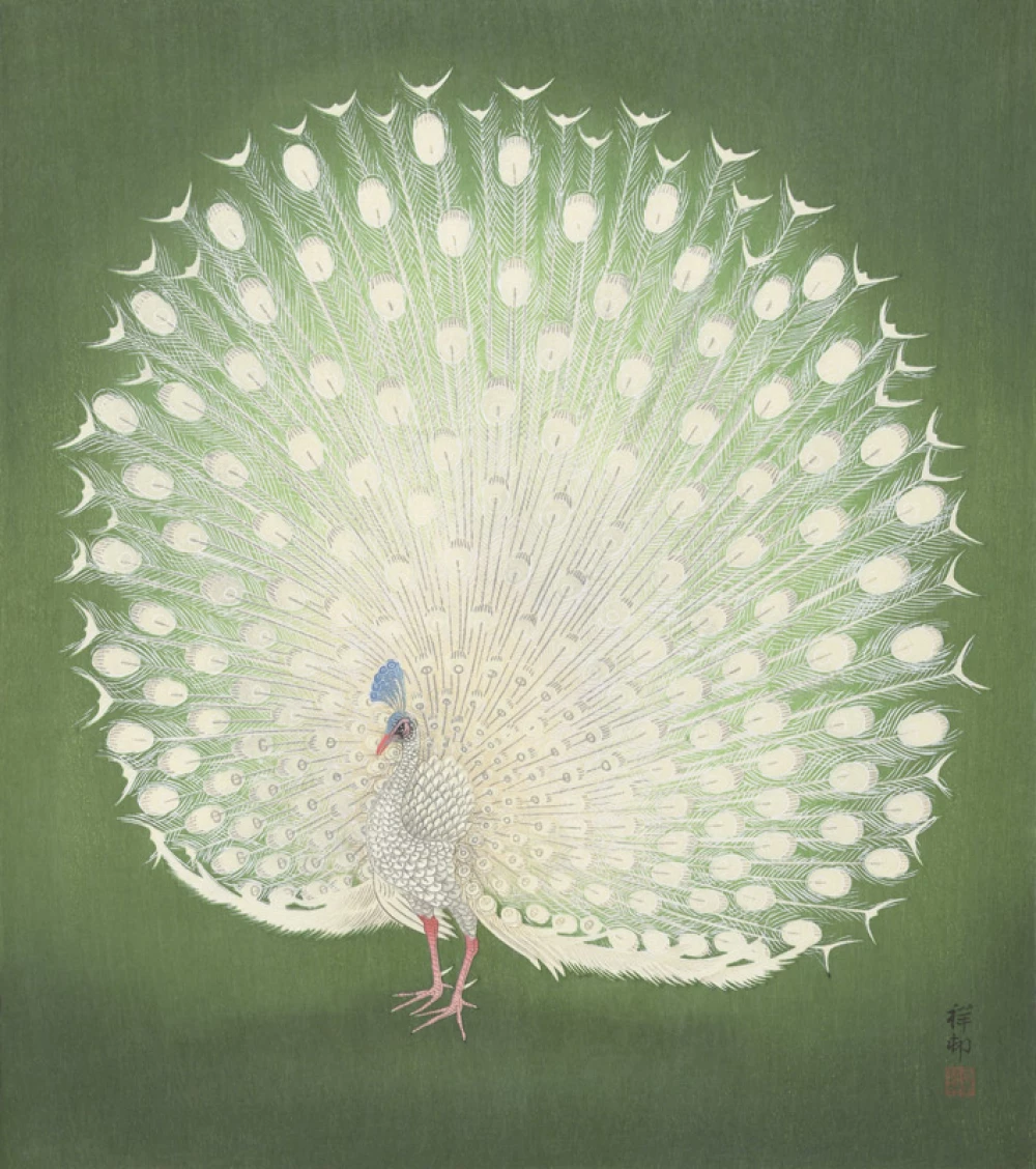 Albino Peacock door Ohara Koson