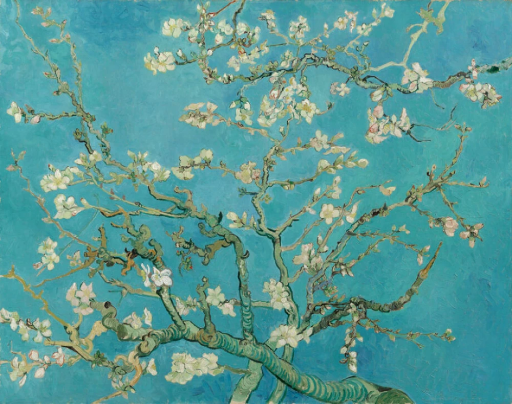 Amandelbloesem door Vincent Van Gogh