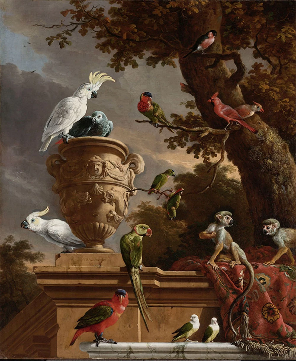 De menagerie door Melchior d‘Hondecoeter