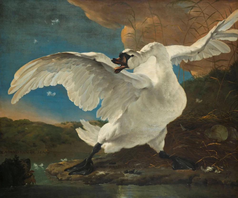 De bedreigde zwaan door Jan Asselijn
