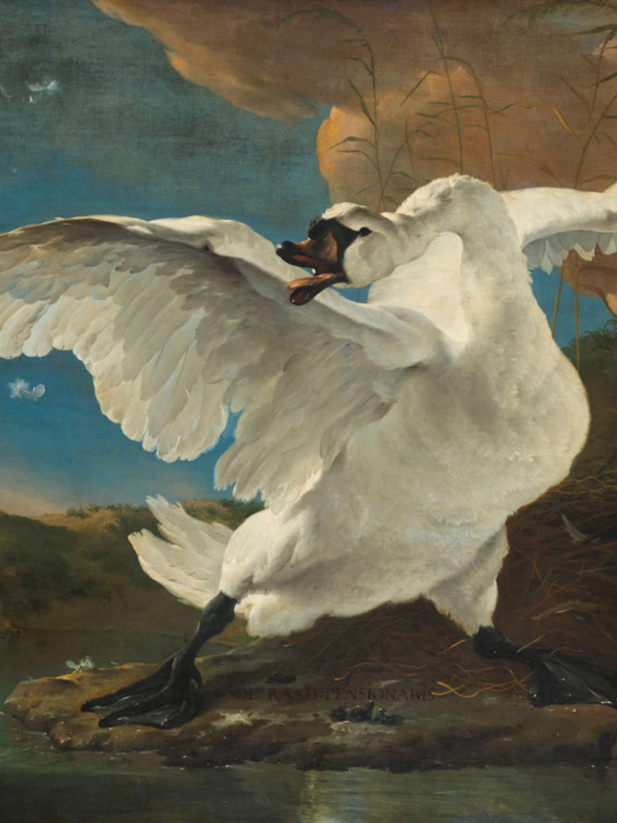 De bedreigde zwaan door Jan Asselijn