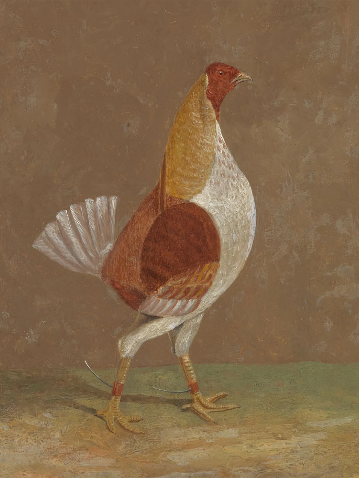 Fighting Cocks Right door John Frederick Herring