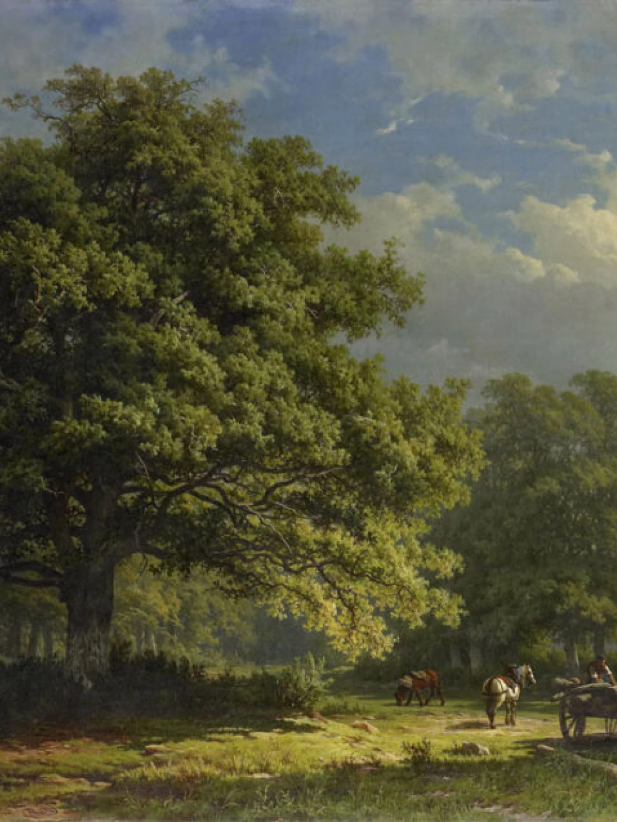 Gezicht in het Bentheimse bos door George Andries Roth