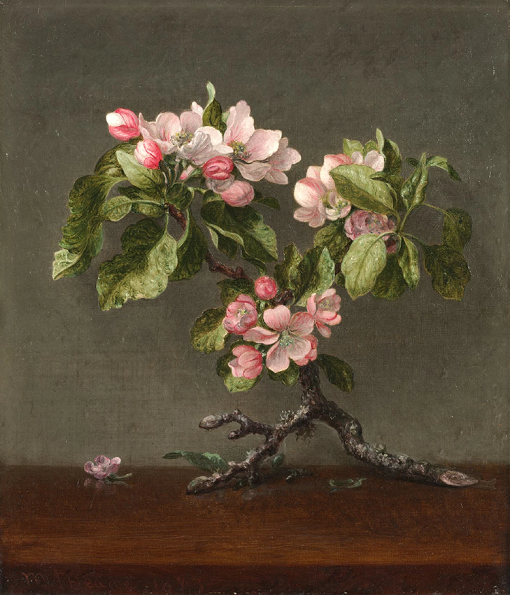 Hummingbird and Apple Blossoms door Martin Johnson Heade