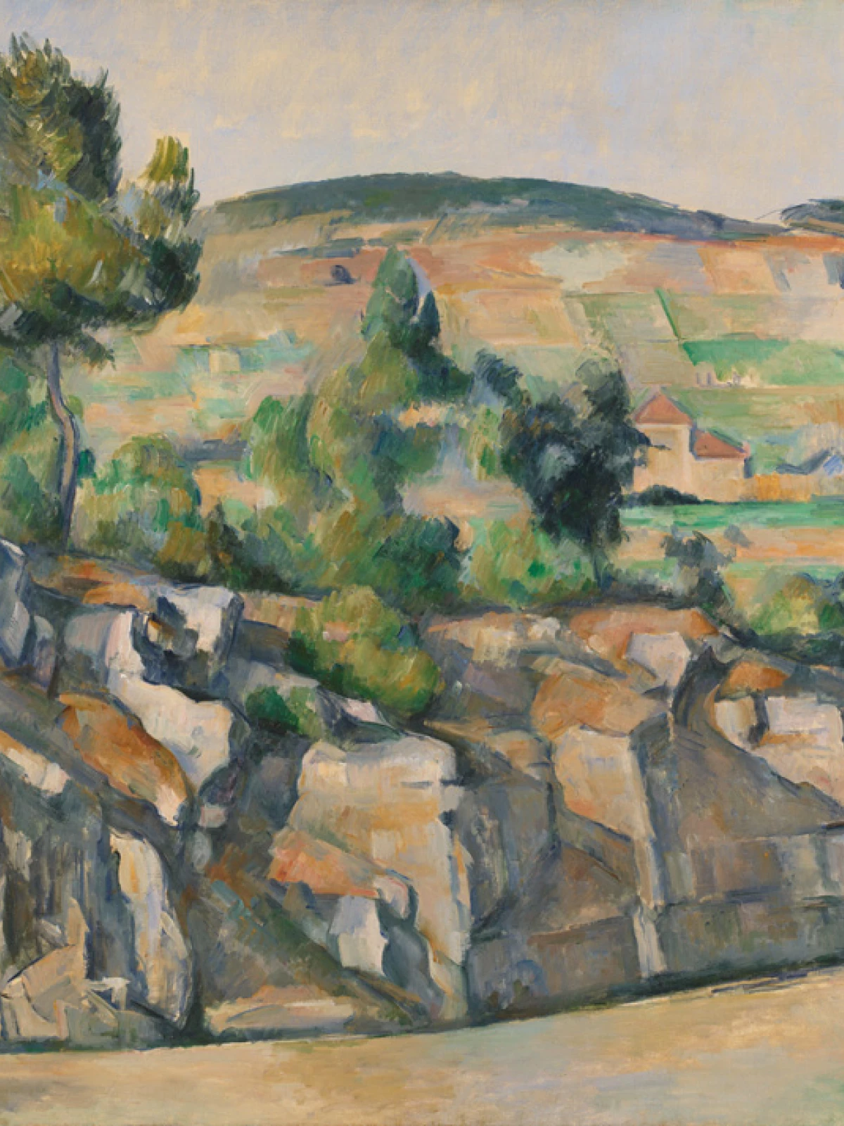 Hillside in Province door Paul Cezanne