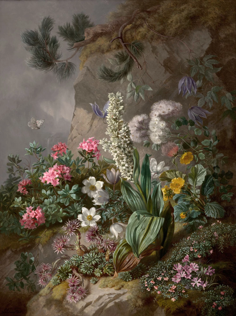 Alpenblumen door Joseph Schuster