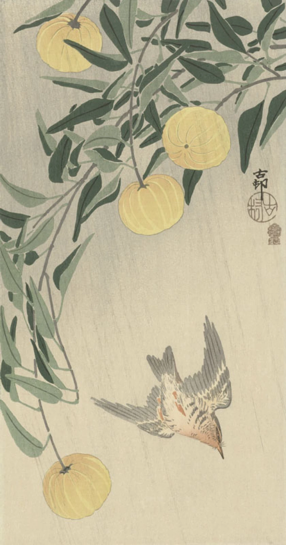 Koekoek in de regen door Ohara Koson