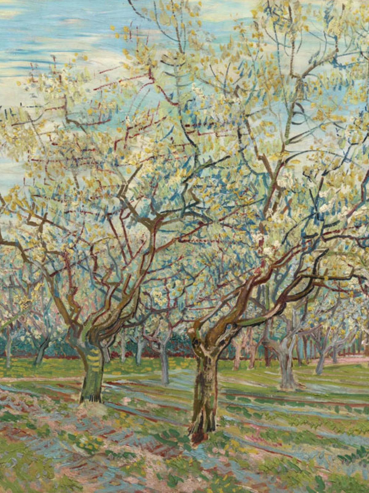 The White Orchard door Vincent van Gogh