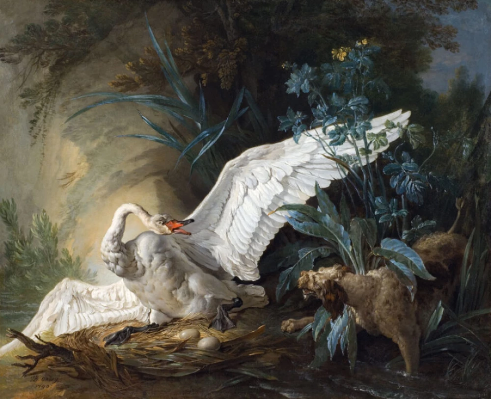 Water Spaniel Surprising a Swan on its Nest door Jean-Baptiste Oudry