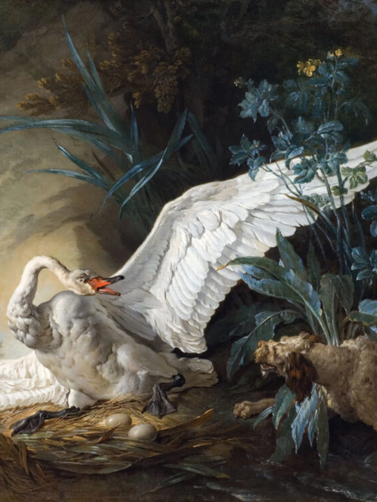 Water Spaniel Surprising a Swan on its Nest door Jean-Baptiste Oudry